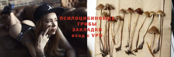 a pvp Алексин