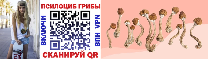 Псилоцибиновые грибы мухоморы  Каменск-Уральский 