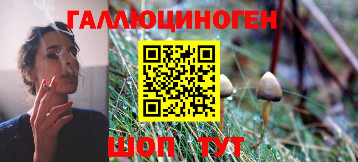 Галлюциногенные грибы прущие грибы  купить  сайты  Вход с VPN  Каменск-Уральский  Псилоцибиновые грибы мухоморы 