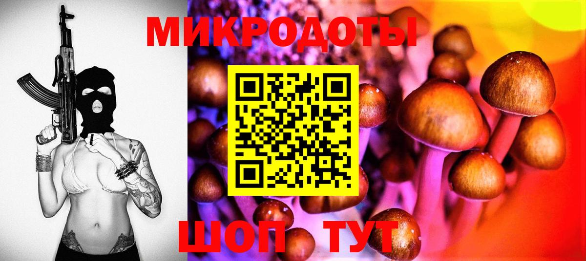 Псилоцибиновые грибы Cubensis Каменск-Уральский